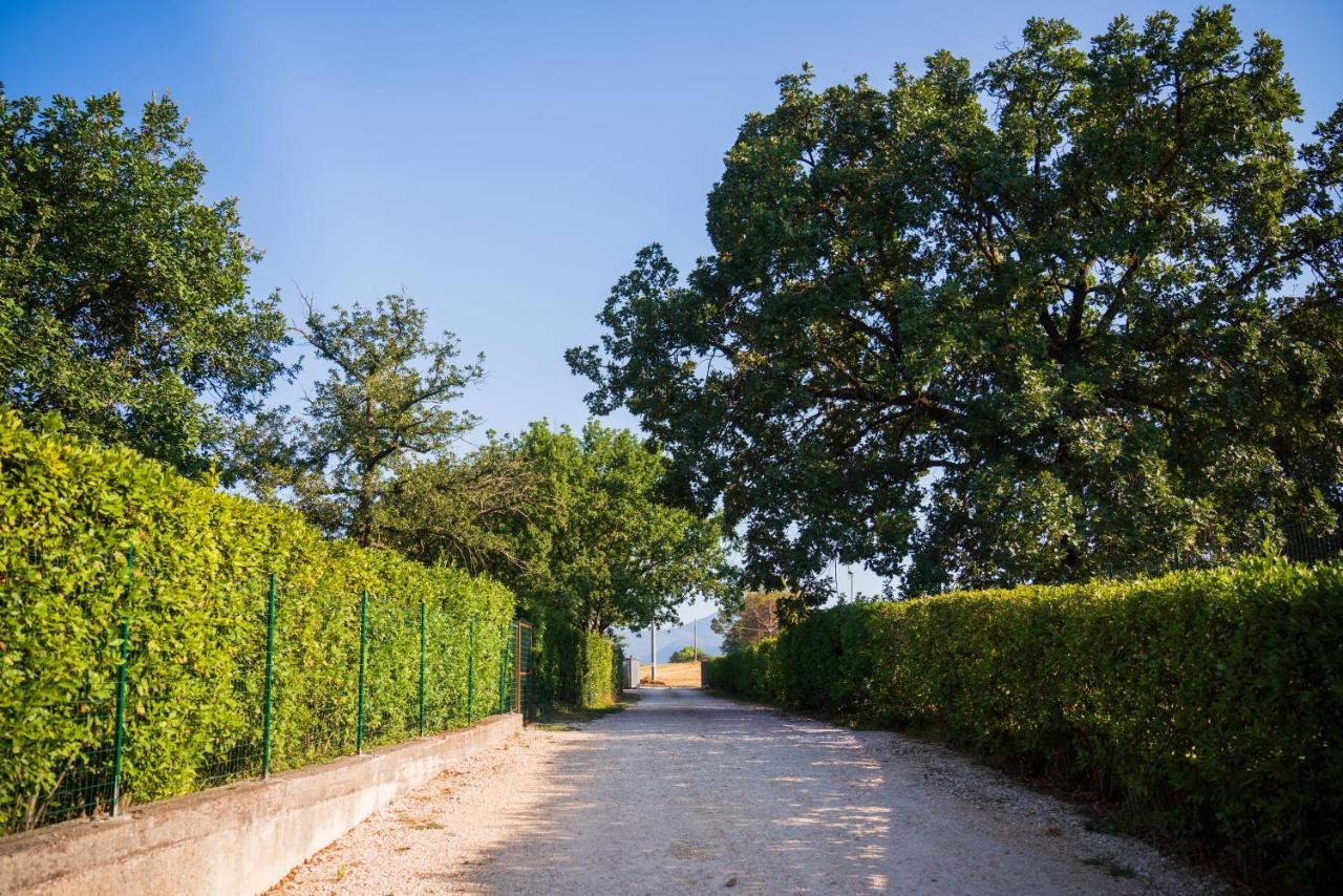 Bed and Breakfast Le Colonne Cassino Exterior foto